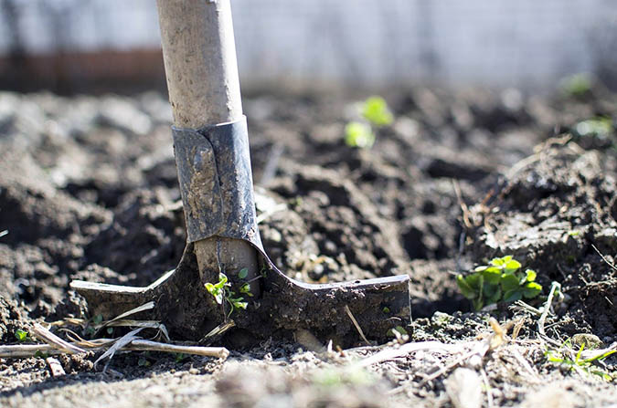 The first garden hand tool on our Top 5 list is a good shovel. (The Grow Network)