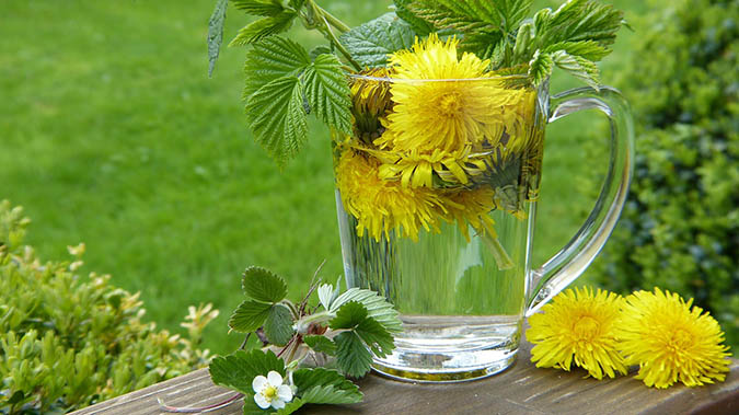 Dandelions can be eaten in a number of ways (The Grow Network)