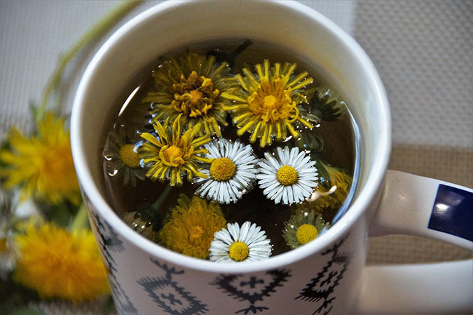 Make a dandelion infusion (The Grow Network)