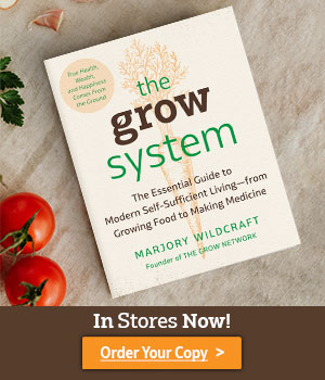 the-grow-system-book-now-available