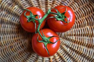 Why can't we grow baskets of tomatoes as easily as we can grow baskets of turnips? (The Grow Network)