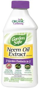 Garden-safe neem oil is an effective organic treatment for garden pests and diseases (The Grow Network)