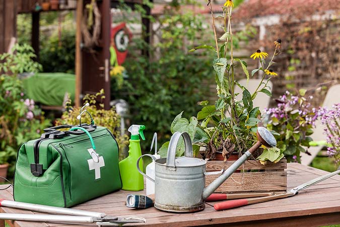 5 questions to ask when you're troubleshooting gardening failure (The Grow Network)