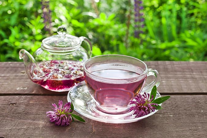 Benefits of red clover flower tea (The Grow Network)