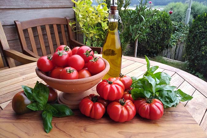 Tomatoes are the divas of the garden. (The Grow Network)
