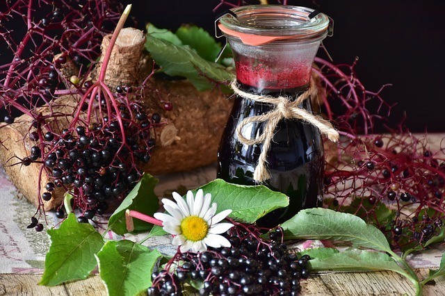 Elderberry_Syrup_Recipe-The_Grow_Network