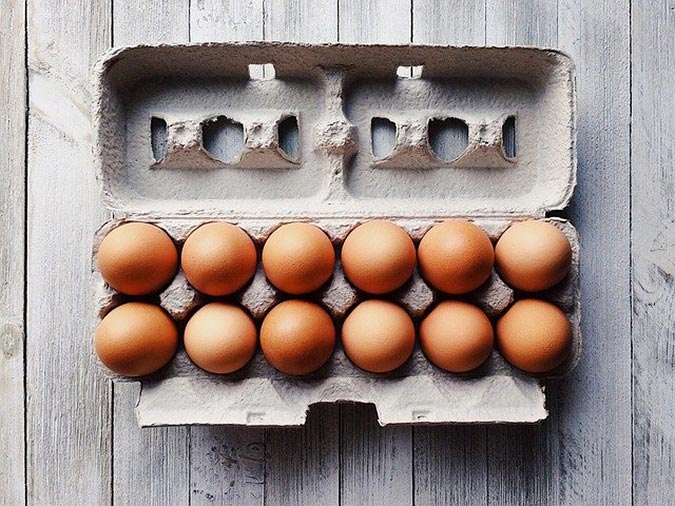 Learning how to store fresh eggs is the secret to enjoying them year-round! (The Grow Network)