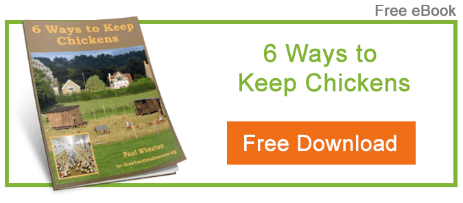 paul-wheaton-6-ways-to-keep-chickens