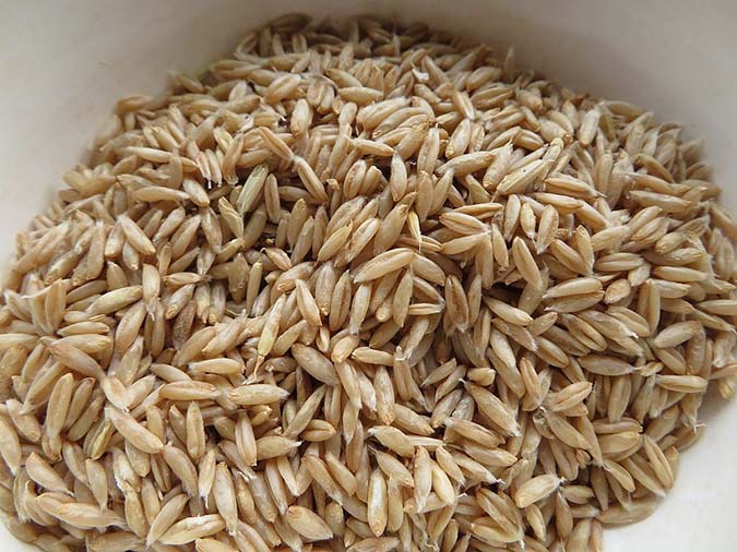 If you're growing oats for oatmeal, use the hulless variety -- Avena nuda. (The Grow Network)