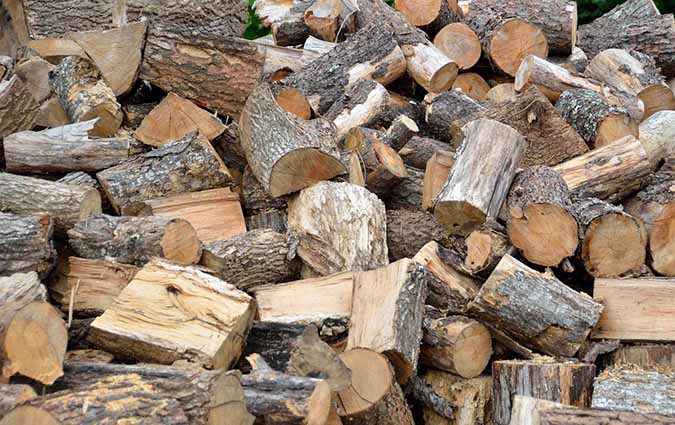 Clutter such as woodpiles in the garden can attract pests (The Grow Network) 