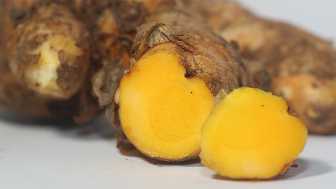 How to Grow Ginger in Cold Climates (Turmeric, Too!) -- The Grow Network