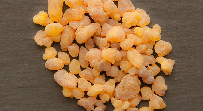 Frankincense - Medicinal Gums and Resins (The Grow Network)