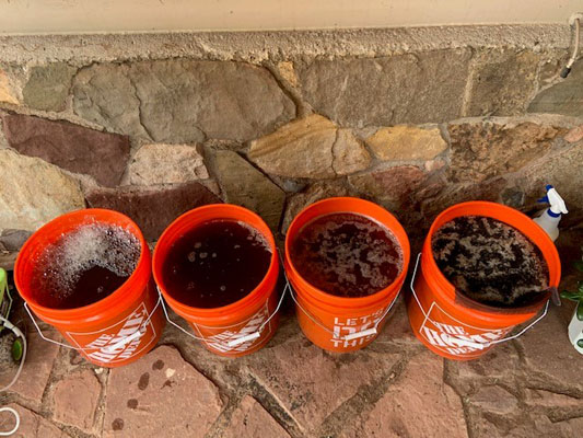 How to make aerated compost tea: Which method is best? (The Grow Network)