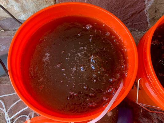 What is aerated compost tea? (The Grow Network)