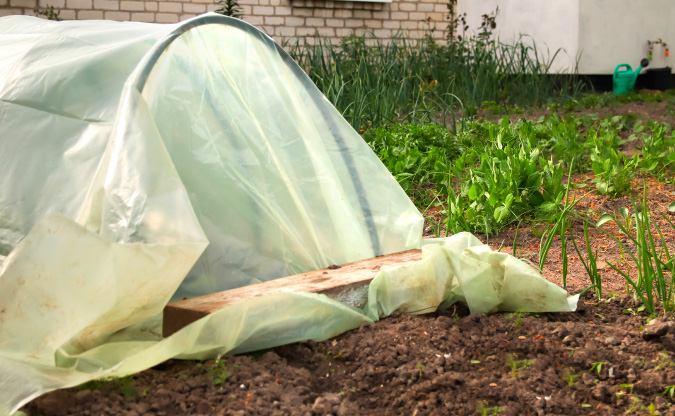 Easy row covers for extending the growing season | The Grow Network