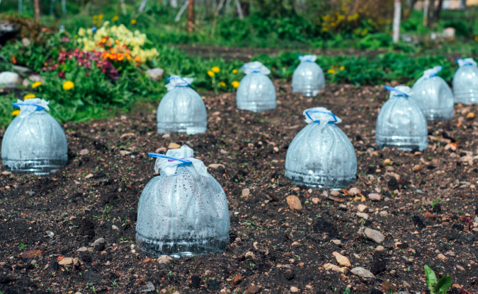 How to easily create a microclimate in your garden | The Grow Network