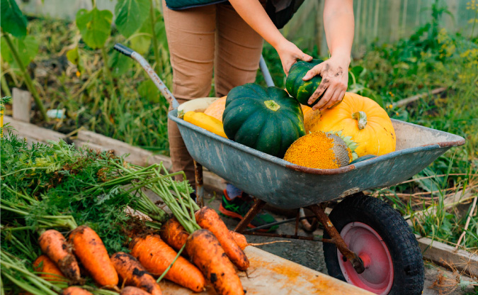 How to extend the Gardening Growing Season | The Grow Network