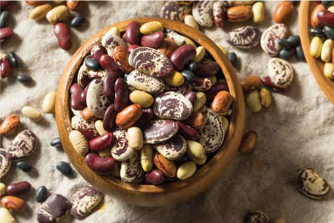 Dried Beans Perfect for Backup Food Supply